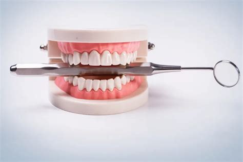 Traditional Vs Implant Supported Dentures What S The Best Choice For You