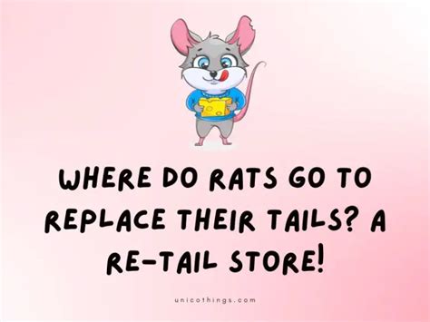 55 Rat Puns That Will Crack A Smile On Your Face 2024