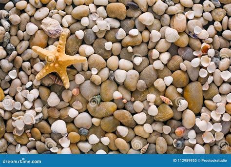 Fondo Dei Ciottoli E Delle Conchiglie Del Mare Pietre Naturali Della