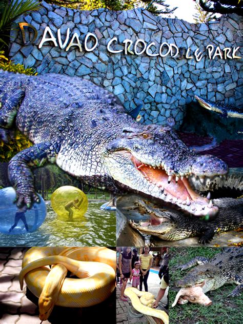 Davao Life: Davao Crocodile Park