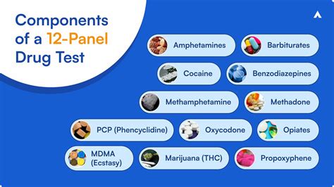 12 Panel Drug Screening All You Need To Know