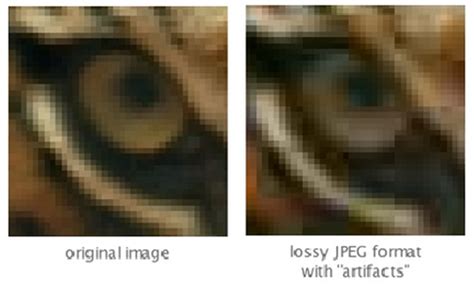 Apa Beda JPEG GIF PNG Dan RAW MerahPutih
