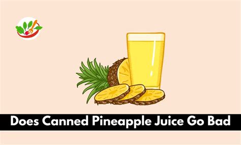 Does Canned Pineapple Juice Go Bad | Let’s Find