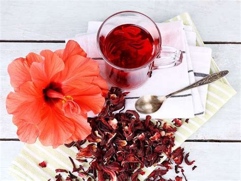 Hibiscus Tea Recipe Dr Greger