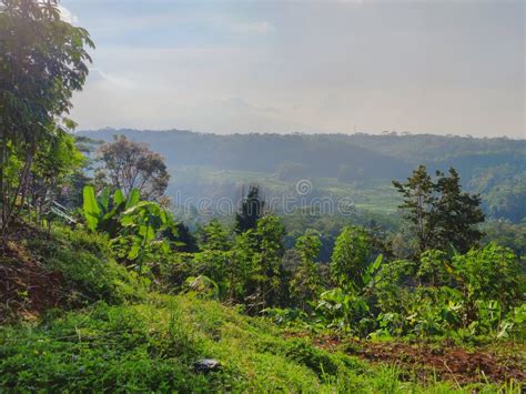 View Of The Valley Between Two Hills Stock Image Image Of View