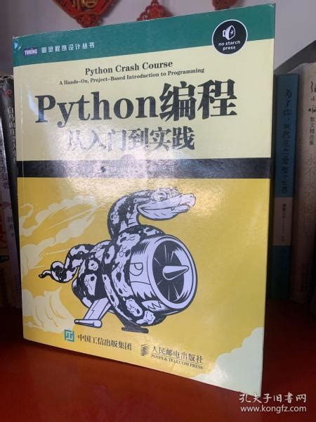 Python编程：从入门到实践 美 埃里克·马瑟斯（eric Matthes） 著；袁国忠 译孔夫子旧书网