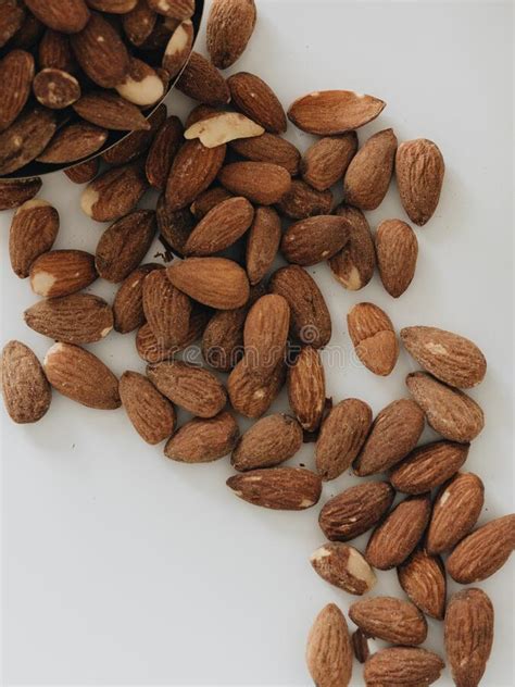 A Group Of Delicious Brown Almond Kernels Stock Photo Image Of Bois