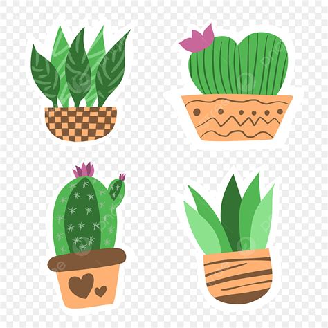 Succulents Plants PNG Picture Succulent Plant Sticker Cute Succulent