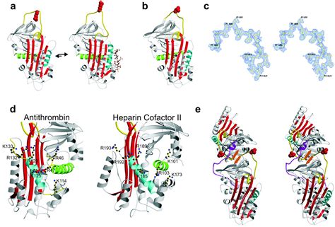 Crystal Structures Of Native And Thrombin Complexed Heparin Cofactor II