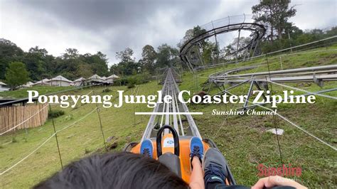 pongyang jungle coaster
