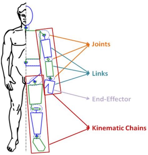 1.2 Kinematic Chain [14] | Download Scientific Diagram