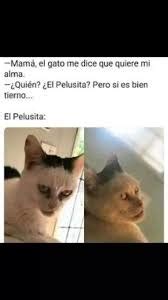 Gato Con Cara Humana Meme By Thejorgetri Memedroid