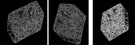 3d Mesh Generated By Delaunay Algorithm For Triangulation Download Scientific Diagram