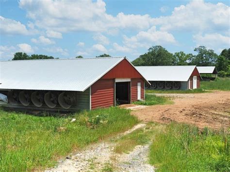 4 House Poultry Breeder Farm For Sale Jasper County Ms