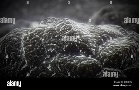 Scanning electron microscope Stock Videos & Footage - HD and 4K Video ... 