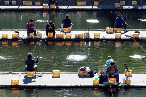 Japan Fishing: The Complete Guide (Updated 2022)