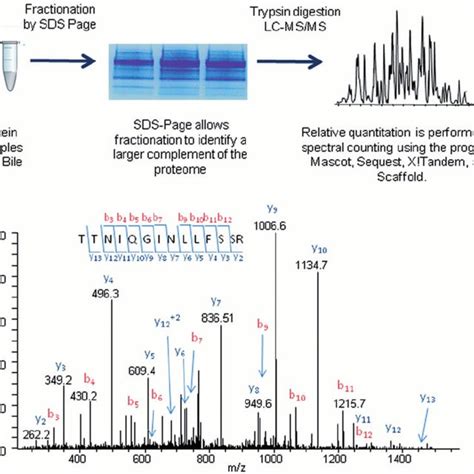 Schematic Representation Of The Proteomic Approach Used To Identify And Download Scientific