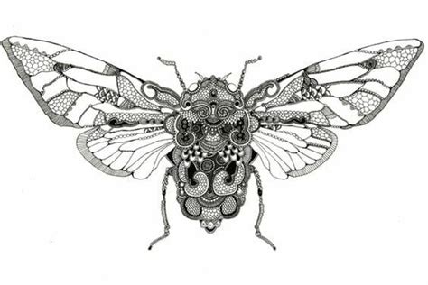 Artists Who Create Artworks Of Insects The Arty Teacher Insect Art