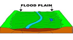 Floodplains: All you need to know – Eco-intelligent™