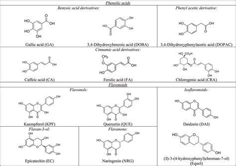 Molecular Structure And Classification Of The Phenolic Compounds