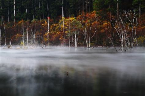 秋と水面を漂う、、、。 By Soranopa （id：1467372） 写真共有サイトphotohito