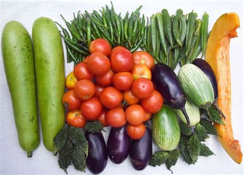 Vegetable Crops – VNR Seed