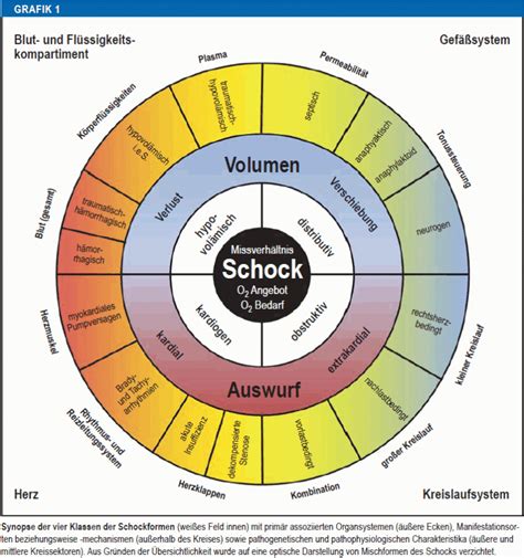 Nomenklatur Definition Und Differenzierung Der Schockformen