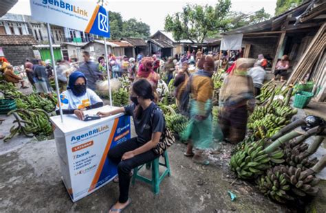 Tahun Bri Hadir Dorong Inklusi Keuangan Hingga Pelosok Negeri