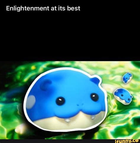 Spheal memes. Best Collection of funny Spheal pictures on iFunny