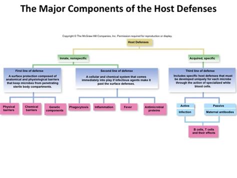 Micro Lecture Chapter Host Defense Mechanisms Innate And