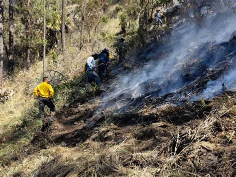 Servicios De Emergencias Controlan Incendio Forestal En Tlaxco Tlaxcala