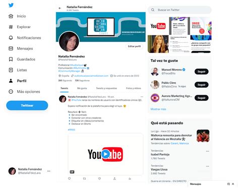 Síntesis de 29 artículos como funciona twitter actualizado