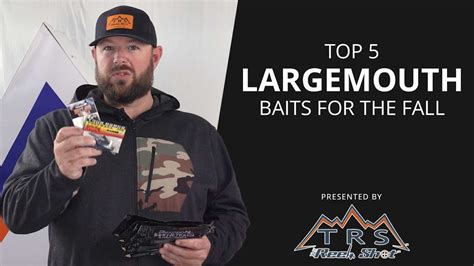 Top Baits For Largemouth Bass In The Fall Youtube