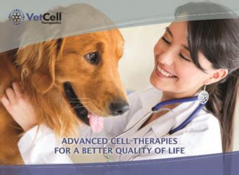 BREAKING NEWS: New Therapy For Treatment Of Arthritis In Dogs Is Now ...