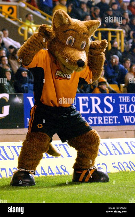 Wolverhampton Wanderers Mascot Banque De Photographies Et Dimages à