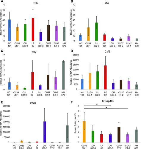 Inflammatory Cytokine Production By Macrophages Stimulated With