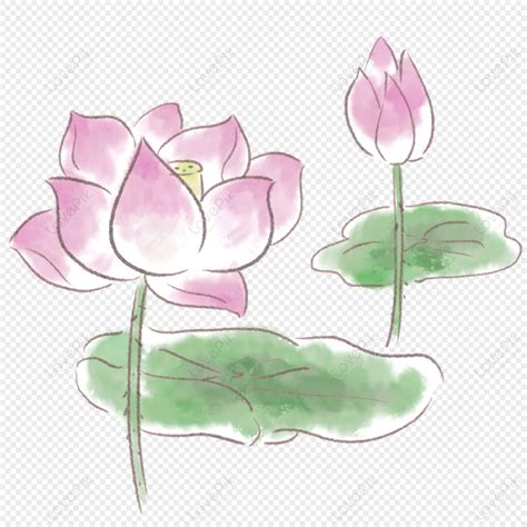 Ink Summer Lotus Leaf Green Lotus Flower Lotus Lotus Vector PNG