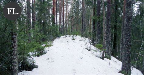 Lyhyesti lukijoilta Harvennus on tarpeen myös Kaukolan näkötornille