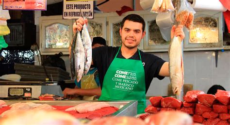 Qué tanto conoces de pescados y mariscos mexicanos Secretaría de