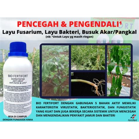 Jual Bio Fertifort Pencegah Dan Pengendali Layu Fusarium Layu Bakteri