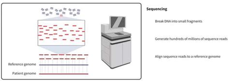 gene sequencing alta diagnotech