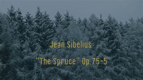 Sibelius The Spruce From The Trees Op75 5 Youtube