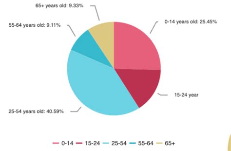 Pie Chart Data Visualization