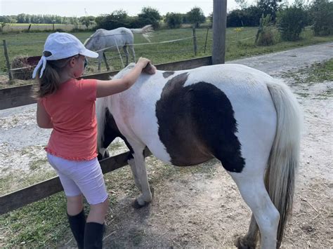 Saintes Grandes Rives Avec Les Colos Apprenantes Les Enfants