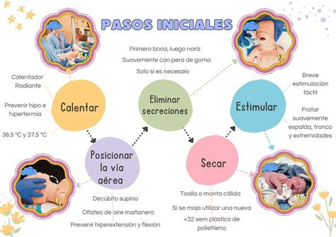 Pasos Iniciales Rcp Neonatal Obsta En Formaci N Udocz