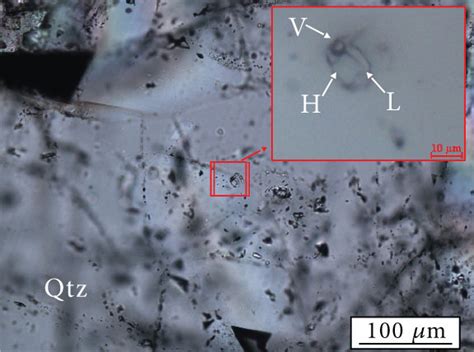 Photomicrographs Showing The Types And Characteristic Features Of Fluid