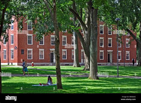 harvard university campus  cambridge massachusetts stock photo alamy