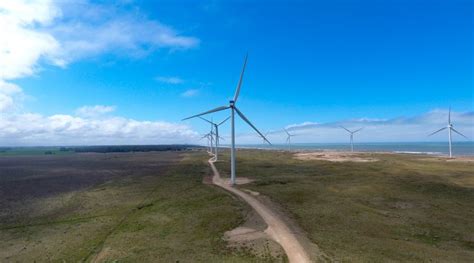 Compromiso Verde Bayer Y Genneia Firman Importante Acuerdo De