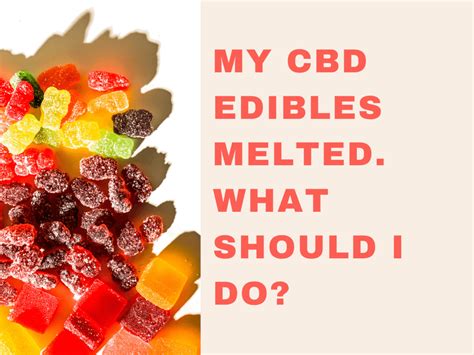 My CBD Edibles Melted What Should I Do RESTART CBD