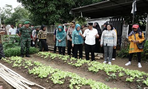 Antisipasi Inflasi Dan Cegah Stunting Lewat Gerakan Tanam Tanaman Cepat